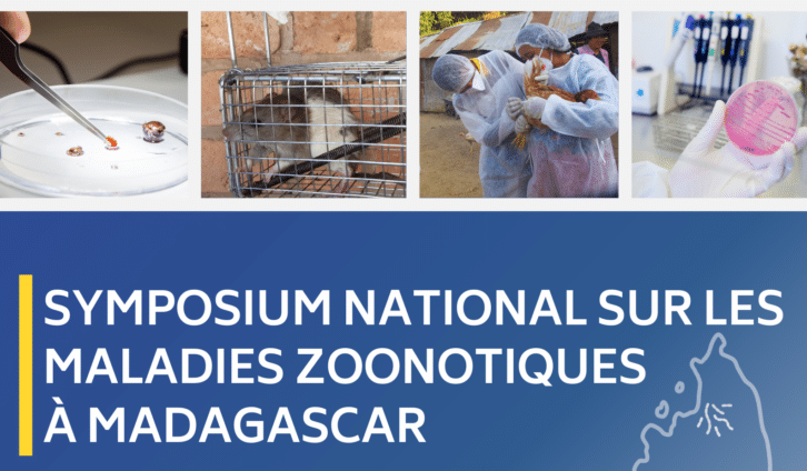 Image à la une de L’Institut Pasteur de Madagascar organise un symposium national sur les maladies zoonotiques à Madagascar – Les inscriptions sont ouvertes