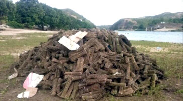 Image à la une de Ambilobe : Incinération de près de  2,5 tonnes de chanvre indien