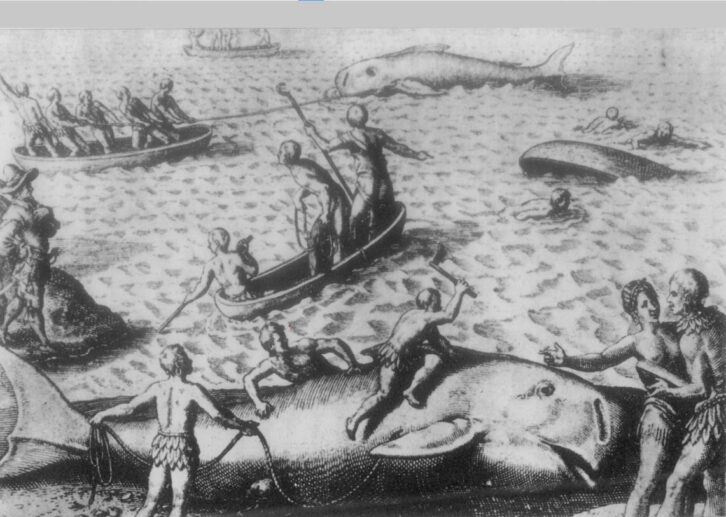 Image à la une de La pêche à la baleine, une occupation principale