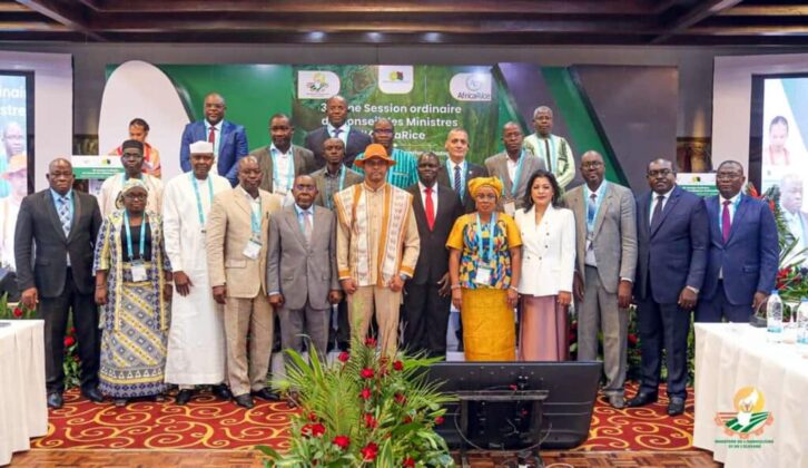 Image à la une de 33e conseil des ministres AfricaRice : Les enjeux de l’innovation et de la recherche à l’honneur