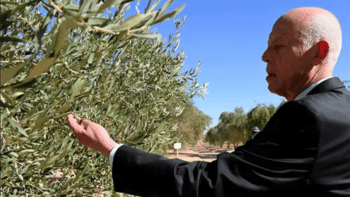 Image à la une de Tunisie : pourquoi le domaine de Chaâl est dans le collimateur des autorités