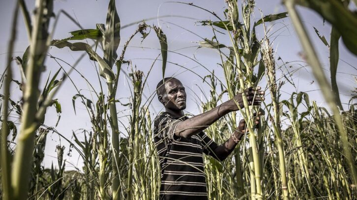 Image à la une de Finance climatique : pourquoi l’Afrique, malgré son potentiel, peine à attirer les investissements