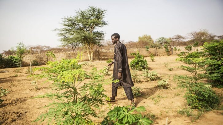 Image à la une de Crédits carbone : comment l’Afrique de l’Ouest veut rattraper son retard