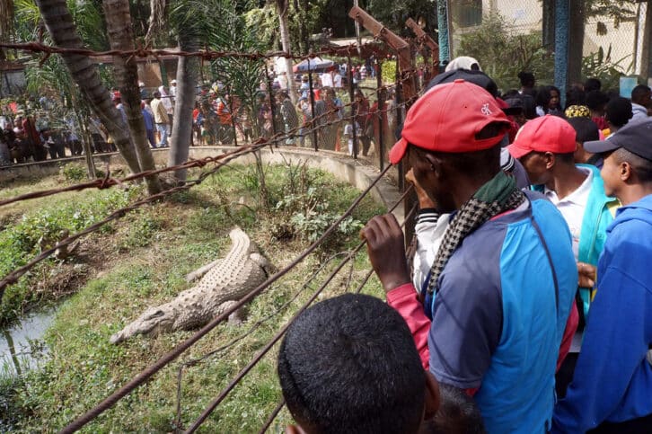 Image à la une de TSIMBAZAZA   – Redressement du parc botanique et zoologique