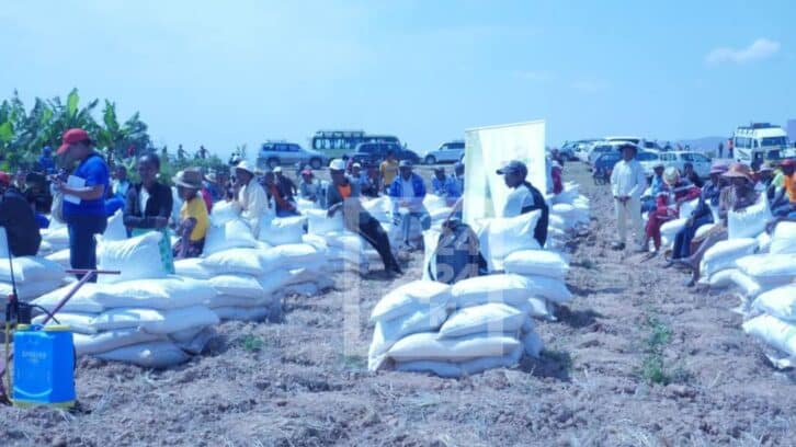Image à la une de AGRICULTURE – Le projet RizPlus dote d’intrants et de kits agricoles les riziculteurs d’Alaotra afin de doubler leur rendement