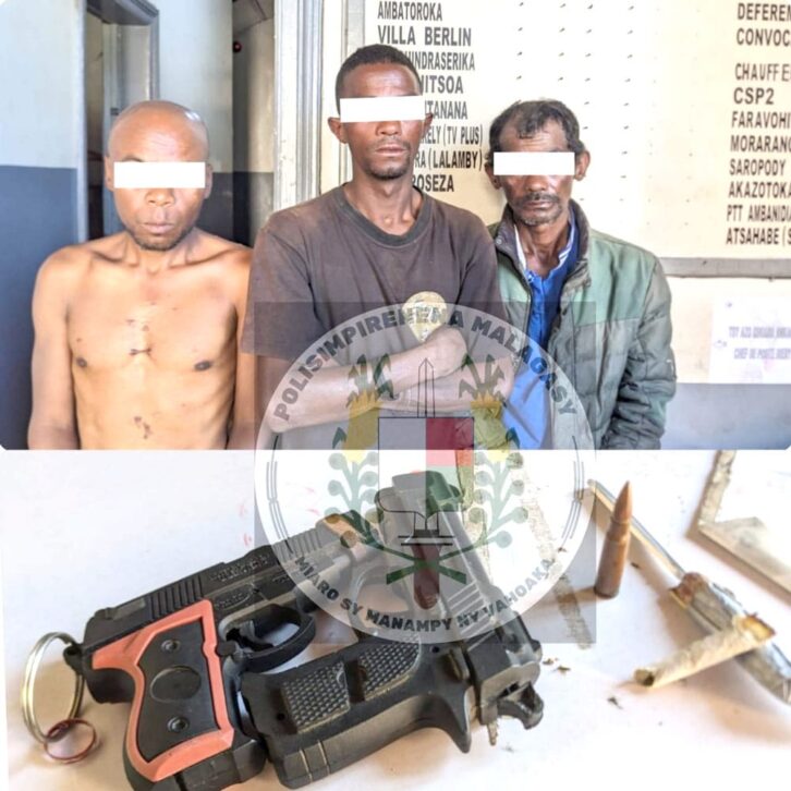 Image à la une de Saropody : Mpifoka rongony nahatratrarana basy kilalao sy bala tena izy