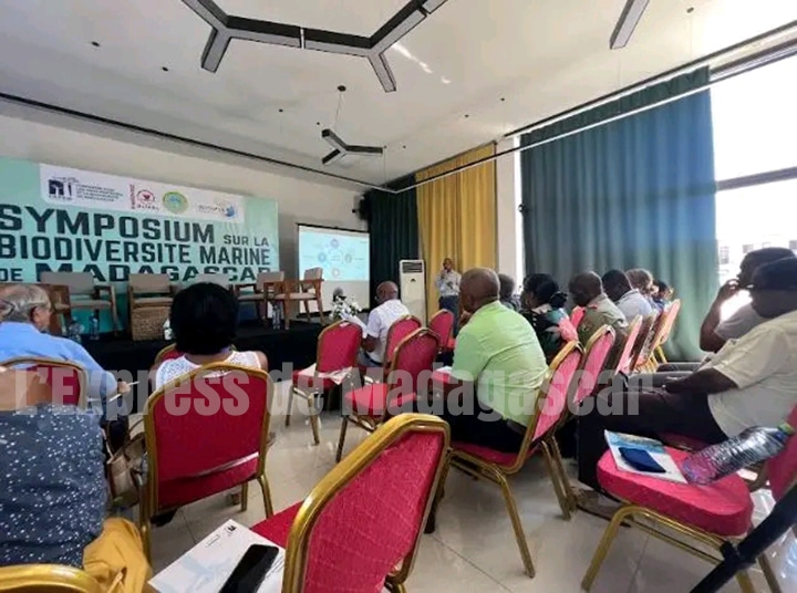 Image à la une de SYMPOSIUM – Alerte sur la dégradation de la biodiversité marine