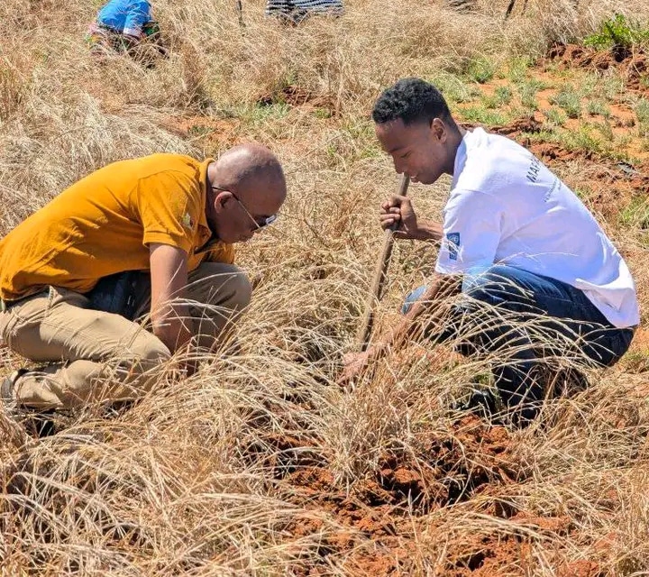 Image à la une de REFORESTATION – Le reboisement réglementé
