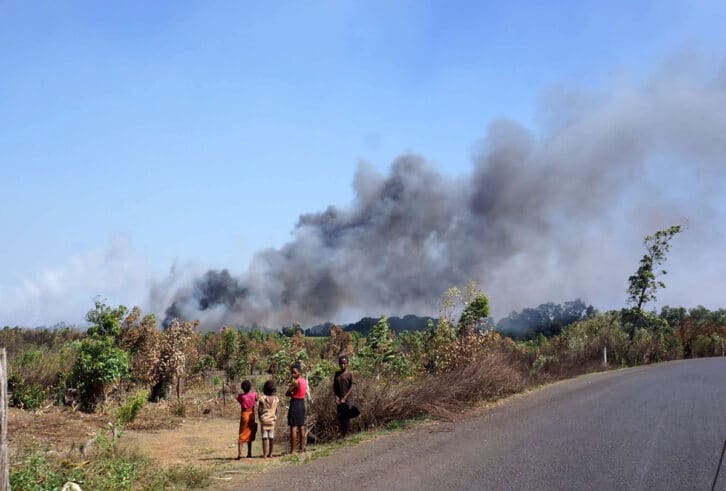 Image à la une de Pourquoi les feux de brousse s’aggravent-ils à Manakara ?