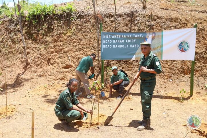 Image à la une de ENVIRONNEMENT – 50 km de pare-feu à mettre en place à Andekaleka pour protéger les jeunes plants mis en terre lundi