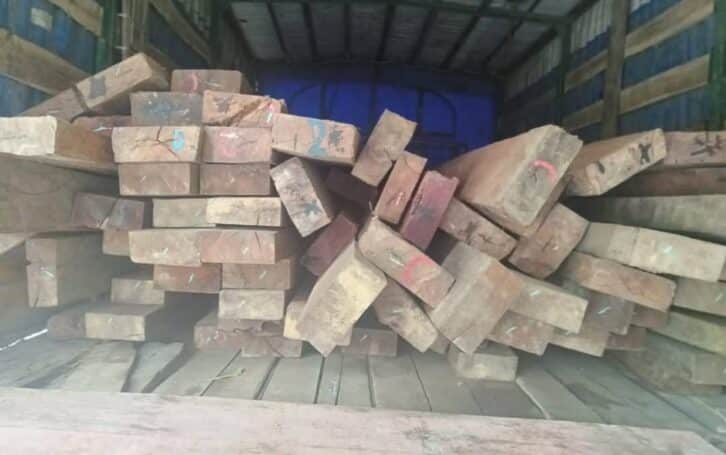 Image à la une de BIODIVERSITE – Huit personnes arrêtées pour transport illicite de bois de palissandre et de bois de nato à Toamasina