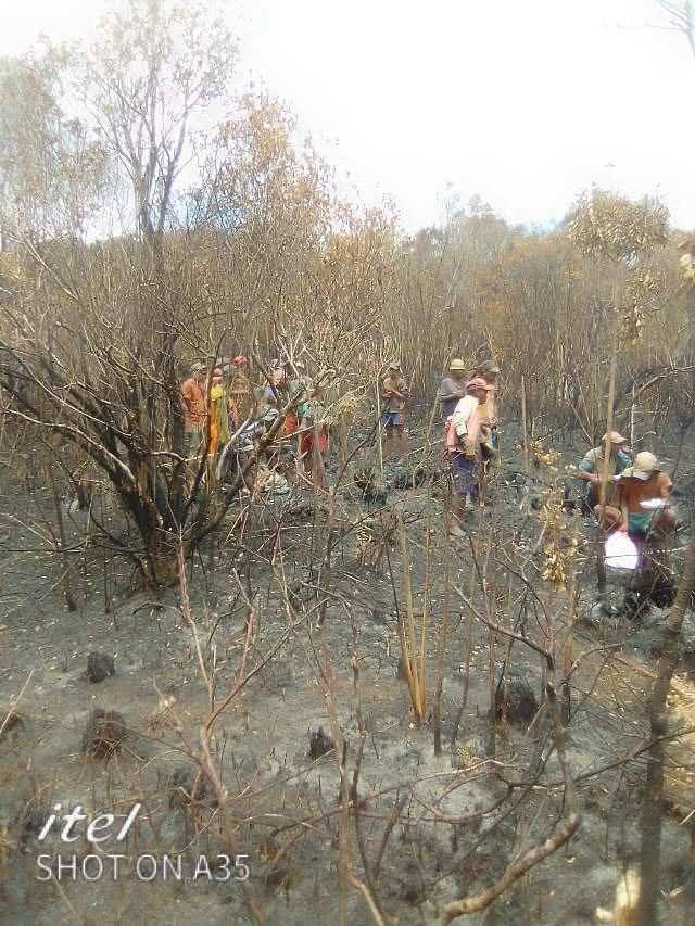 Image à la une de ENVIRONNEMENT – Environ 20 ha du parc national Ranomafana ravagés par les flammes