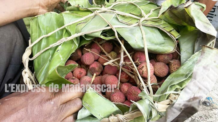 Image à la une de FRUITS DE SAISON  –  La qualité des litchis laisse à désirer