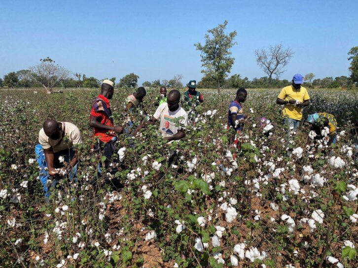 Image à la une de La famille Kagnassi veut racheter à l’Aga Khan Ivoire Coton et Chimtec