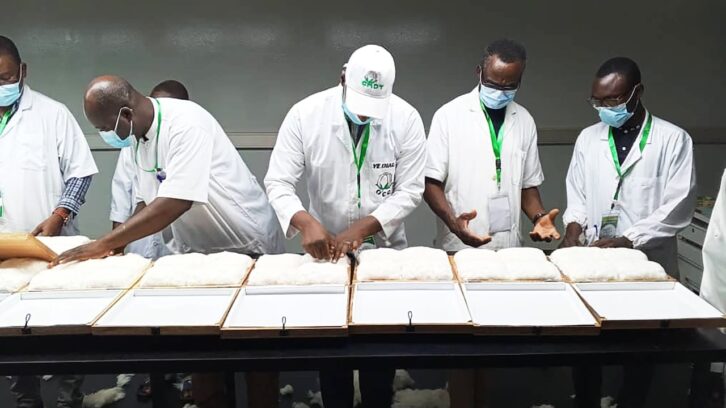 Image à la une de Pourquoi le champion malien du coton tourne la page de la privatisation