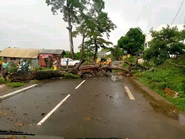 Image à la une de Cyclone Dikeledi – Hausse du nombre de sinistrés