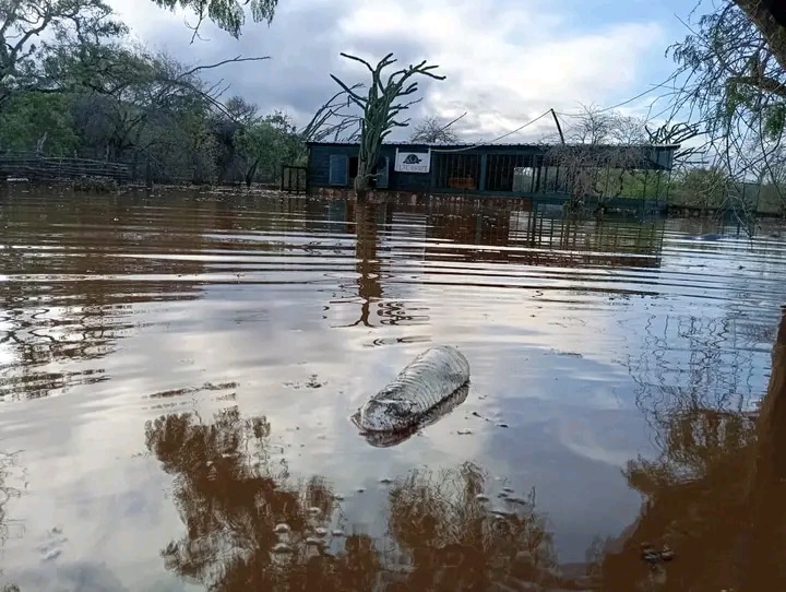 Image à la une de