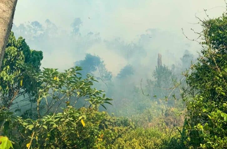 Image à la une de FEUX DE BROUSSE ET DE FORET – Le Grand Sud Est en proie aux flammes