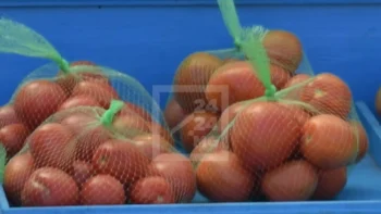 Image à la une de Pourquoi Madagascar enquête-t-il sur les importations de produits à base de tomate ?