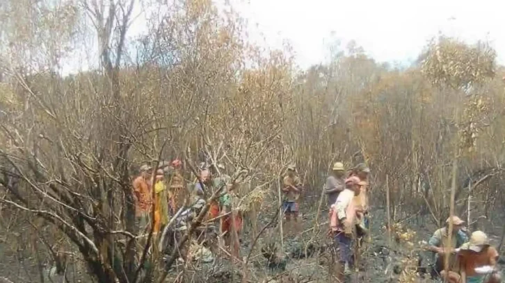 Image à la une de FEU DE FORÊT – Près de 25 ha du parc national Ranomafana ravagés par les flammes, selon la gendarmerie