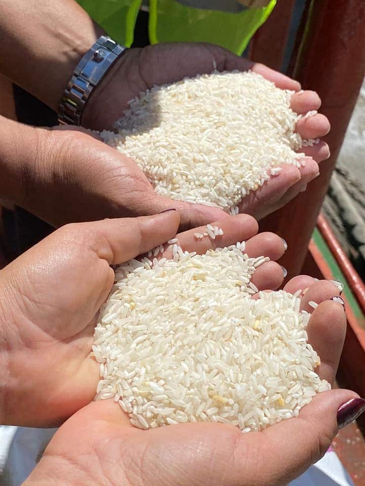 Image à la une de CONSOMMATION – L’importation encouragée par l’Etat pour assurer l’approvisionnement de riz à prix abordables du marché