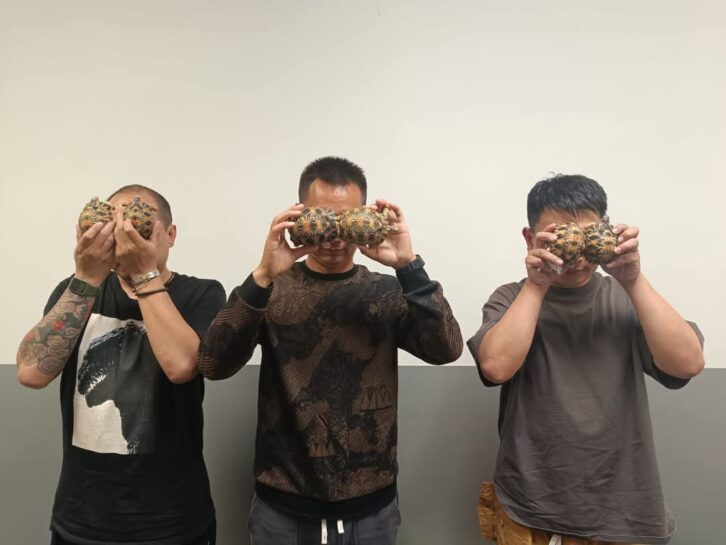 Image à la une de AÉROPORT D’IVATO – Des Chinois arrêtés avec une centaine de tortues