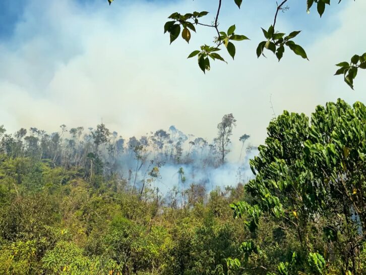 Image à la une de ENVIRONNEMENT – Les points de feux de retour dans la partie Est de Madagascar