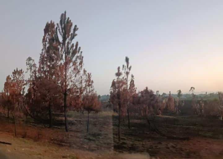 Image à la une de ENVIRONNEMENT – Le président de la Conférence des évêques catholiques appelle à des solutions face à l’ampleur des feux de brousse et des feux de forêt