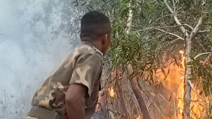 Image à la une de CATASTROPHE – Trois nouveaux départs de feux dans la région de Fitovinany