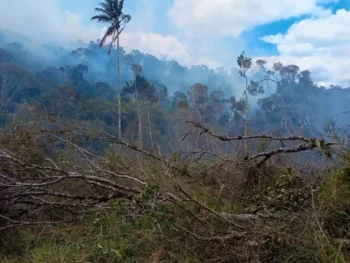 Image à la une de ENVIRONNEMENT – Le ministère de l’environnement rapporte l’arrestation de 11 personnes soupçonnées d’être à l’origine des feux de brousse et de forêt
