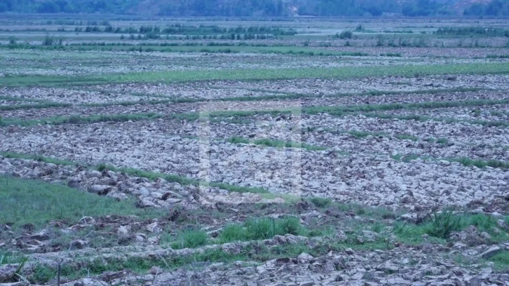 Image à la une de AGRICULTURE – Les autorités lancent le projet « taninketsa iombonana » pour sauver la campagne agricole 2025 dans l’Alaotra