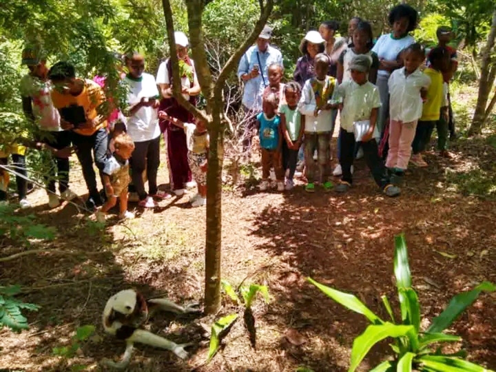 Image à la une de ÉDUCATION –  Les élèves d’Ambohidrabiby s’initient à l’écologie