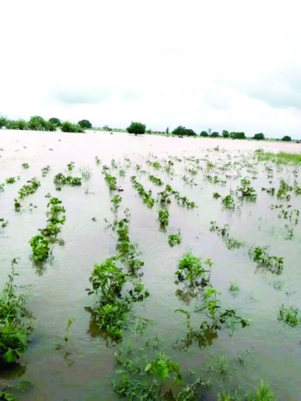 Image à la une de Cyclone tropical Honde – Plus de 600 hectares de cultures inondées