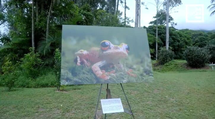 Image à la une de ART VISUEL – La biennale de Nahampoana, une première édition au carrefour des domaines artistiques