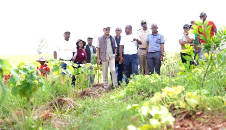 Image à la une de COOPÉRATION RÉGIONALE  –  SANOI fait ses preuves dans le Bongolava et l’Itasy