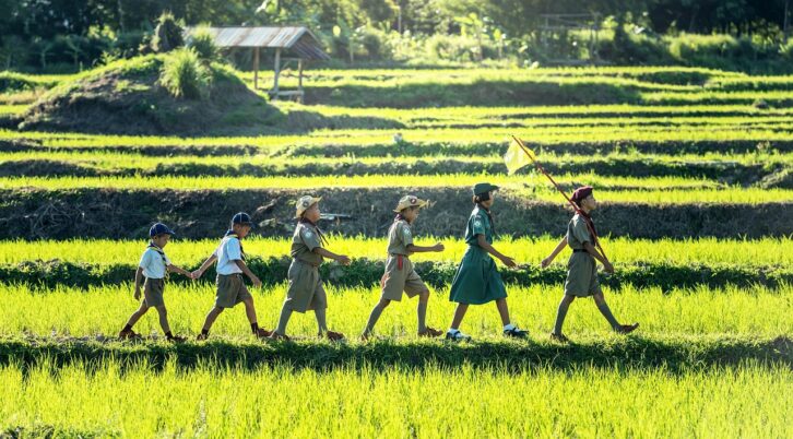 Image à la une de ASSOCIATION – Madagascar accueille trois événements du mouvement scout en 2025