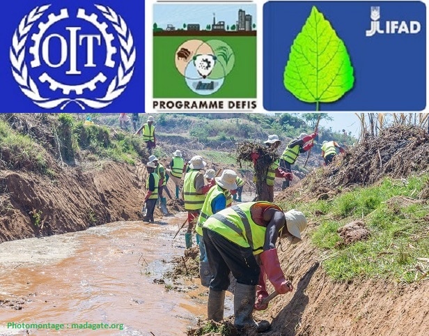 Image à la une de Madagascar HIMO STRUCTUREE. OIT, FIDA et DEFIS poursuivent le… défi