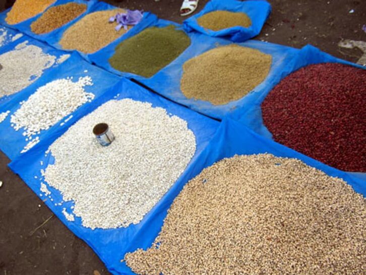 Image à la une de Alimentation : Les légumineuses, éléments clés en matière de sécurité alimentaire