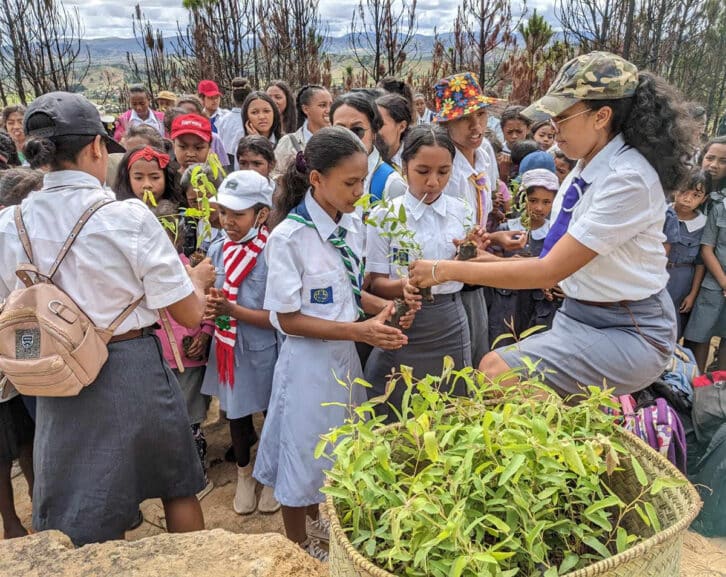 Image à la une de REBOISEMENT – Des jeunes restaurent une plantation