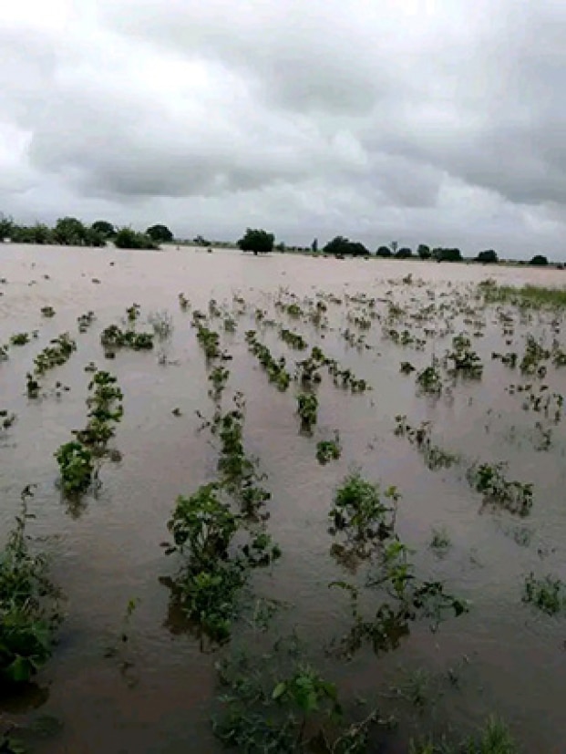 Image à la une de Cyclone tropical Honde  – 6021 ha de rizières inondées, plus de 10 000 maisons détruites