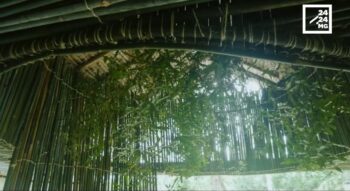Image à la une de ARCHITECTURE – Le pavillon de thé de Sandrine Raveloson, un sanctuaire pour revenir à soi
