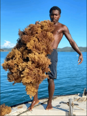 Image à la une de APRÈS-CYCLONE – Un appel à la solidarité pour les pêcheurs lancé