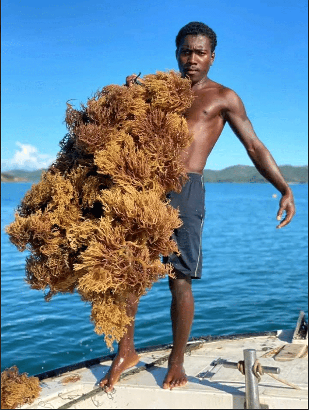 Image à la une de APRÈS-CYCLONE – Un appel à la solidarité pour les pêcheurs lancé