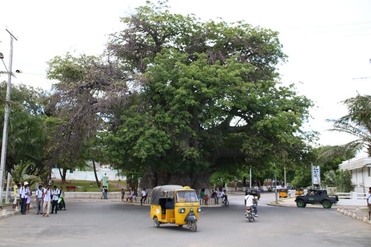 Image à la une de CONSEIL DES MINISTRES ET 8 MARS – Plein phare sur Mahajanga