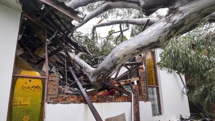 Image à la une de Tempête en Australie : deux camions militaires en mission entrent en collision, 36 blessés