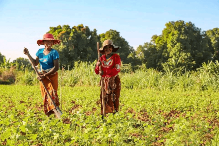 Image à la une de Régions de Vatovavy et Fitovinagny : Lancement du projet « FANDROSO » pour l’accompagnement des jeunes agriculteurs.