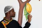 Image à la une de Le Nigeria veut profiter du cours élevé du cacao pour redynamiser sa production