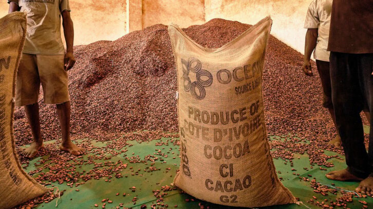 Image à la une de Cacao : la Côte d’Ivoire maintient la pression sur les leaders Cargill, Olam et Barry Callebaut
