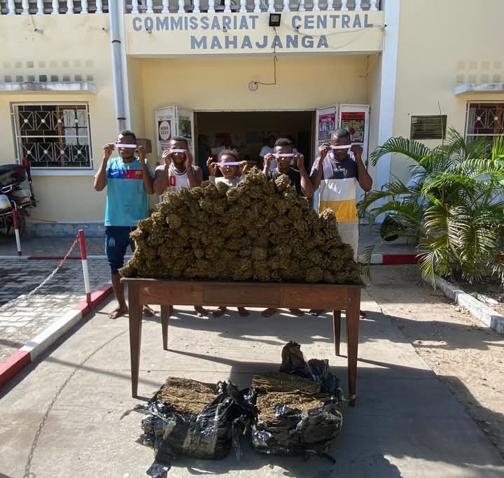 Image à la une de TRAFIC DE STUPÉFIANTS  – Trente-deux kilos  de cannabis saisis à Aranta