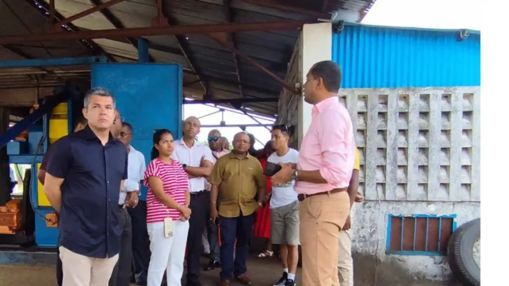 Image à la une de INDUSTRIE – La production de coco de Soavanio réduite de plus de moitié en 25 ans